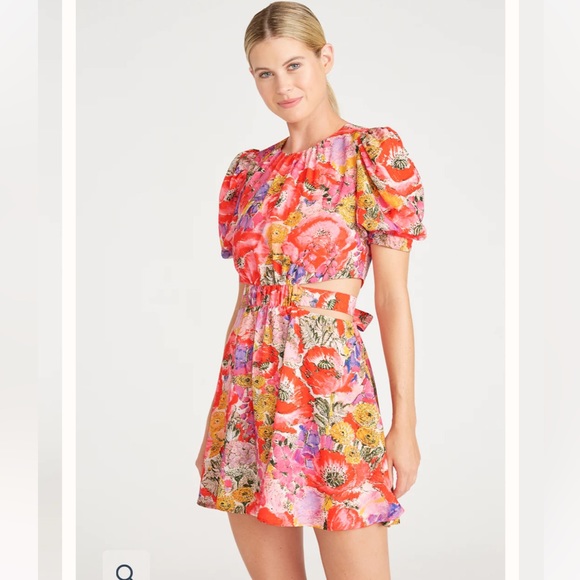 AMUR Cutout Dress - NWT - Picture 1 of 8